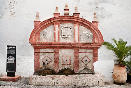 16th century stone water fountain and trough.