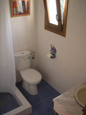 En suite bathroom with large walk-in shower stall.