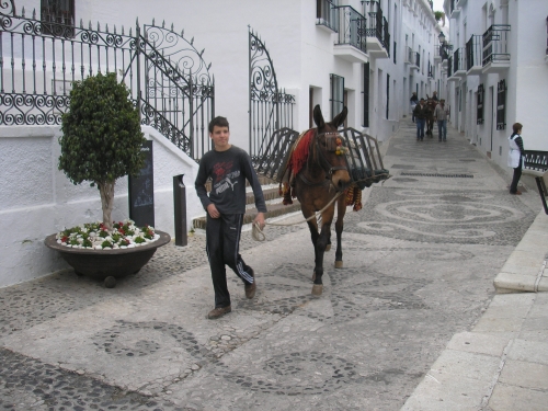 Frigiliana mercantile transport. An owner takes his mule down the street.