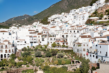 A spritely looking Frigiliana showcasing its very own tropical botanic garden.